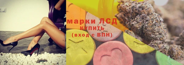 стафф Богородск