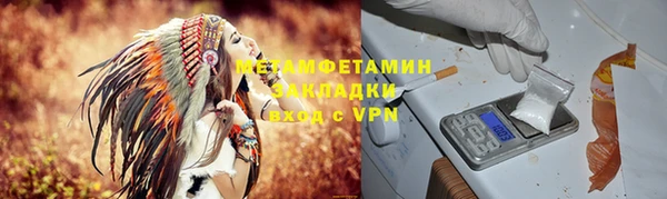 прущие грибы Белоозёрский