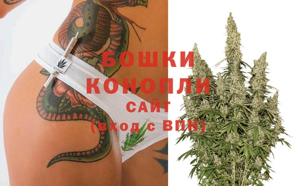 прущие грибы Белоозёрский