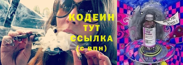 гашик Богданович