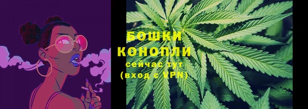 прущие грибы Белоозёрский