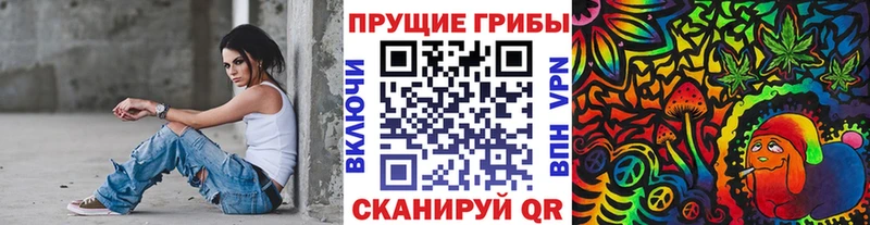 Купить закладки  Гусь-Хрустальный  Псилоцибиновые грибы Psilocybine cubensis 