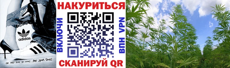 Конопля AK-47  Купить где  Гусь-Хрустальный 
